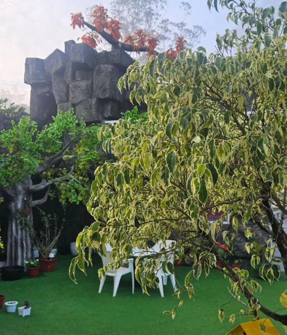 S & B Dreams House Daire Munnar